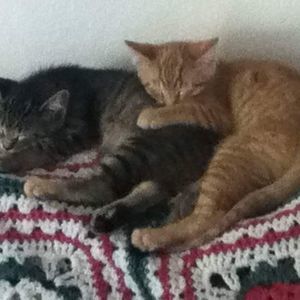 Meet your Posher, Rylie